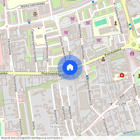 Opoczno, Opoczno, opoczyński, łódzkie