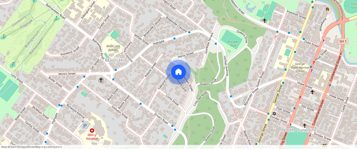 ** Chamberlain Street, Maori Hill