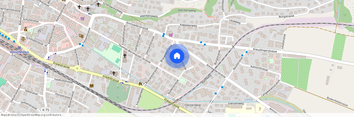 8570, Weinfelden, Neugutstrasse, 8