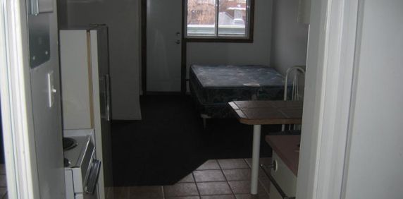 1 1/2 - Montréal (Le Plateau Mont-Royal) - 1 150 $/mois - Photo 2