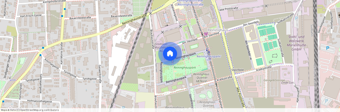 8020 Graz, 14.Bez.:Eggenberg, Reininghauspark 6