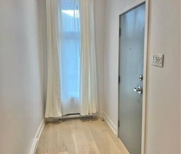 Appartement à louer - Montréal (Rosemont/La Petite-Patrie) (La Peti... - Photo 6