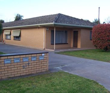 Renovated & Handy to Central Albury - Photo 4