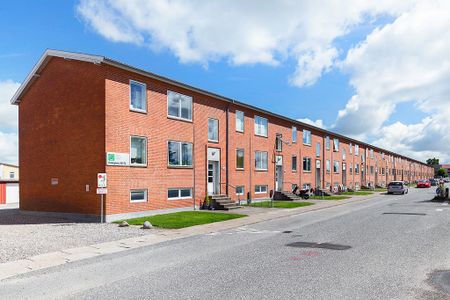 Afd. 1 Birkevang - Photo 3