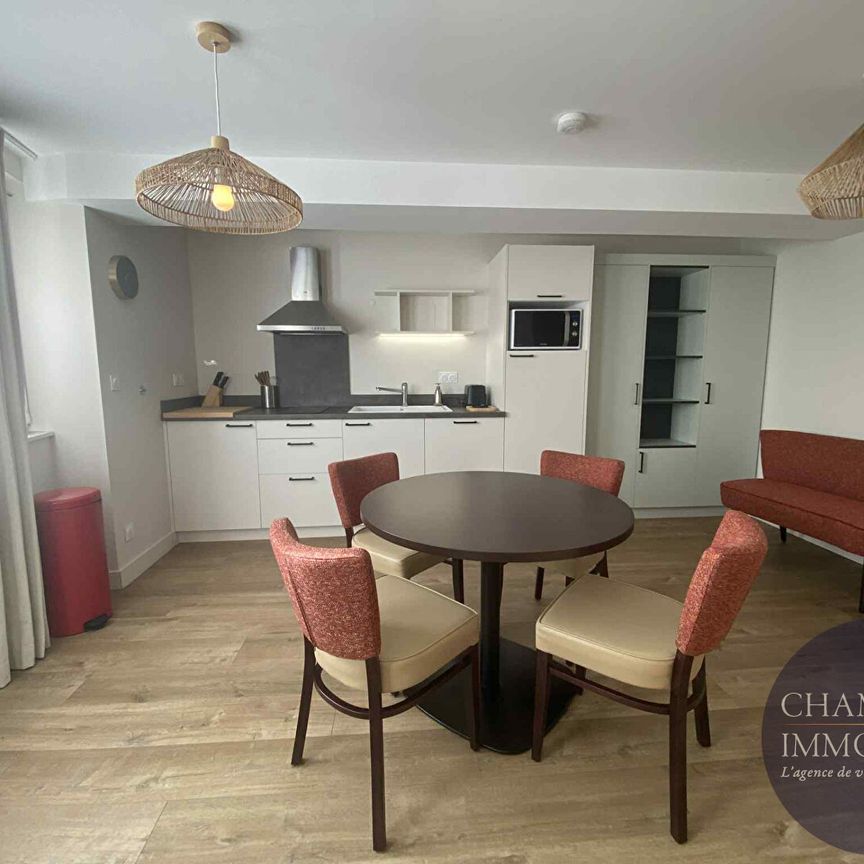 Appartement entièrement meublé à Cour Cheverny 41 m2 - Photo 1