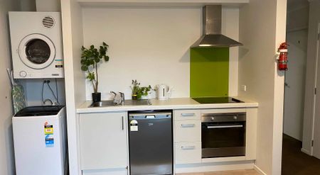 5/2 Rm A Palmerston Street - Photo 4