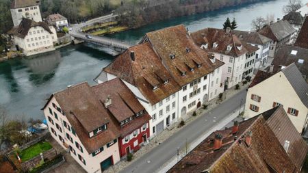 Petit mais agréable, en plein bord de Rhin ! - Photo 4