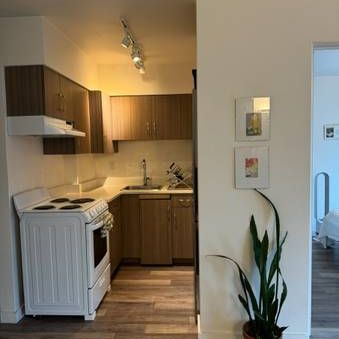 Renovated One Bedroom near Stanley Park. - Photo 3