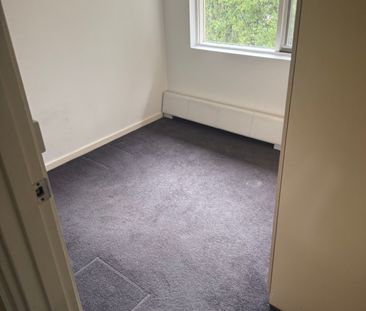 Hawthorn East - Photo 5