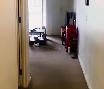 627 princes highway, Sydney - Photo 2