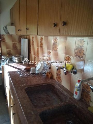 ΕΞΟΧΗ ΘΕΣΣΑΛΟΝΙΚΗΣ 1ΧΩΡΗ ΓΚΑΡΣΟΝΙΕΡΑ ΕΝΟΙΚΙΑΣΕΙΣ 15263 - Φωτογραφία 5