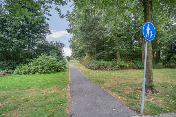 Vignolahof, Rotterdam, Nederland - Foto 1