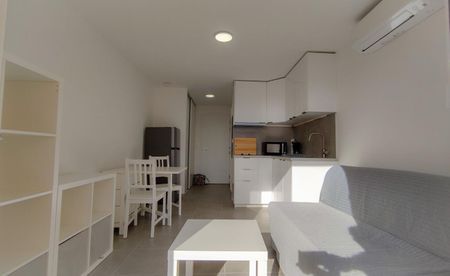 Location Appartement 1 pièce Meublé 17m² LA LONDE LES MAURES 83250 - Photo 4