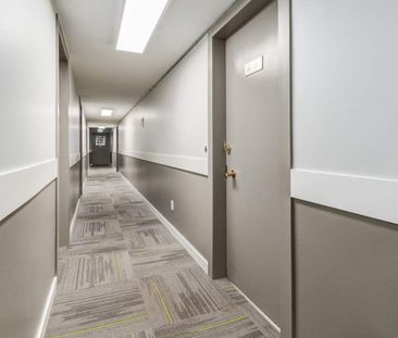 Renovated Suite - 1 Bedroom - Photo 5