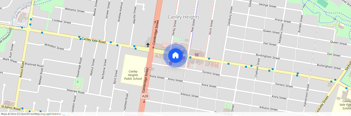 256 Canley Vale Road, NSW 2166, Canley Heights