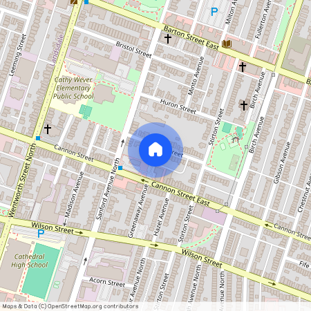 22 Harvey Street, Hamilton