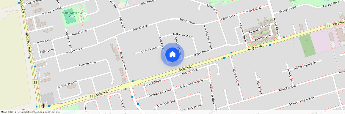 138 Seguin Street, Richmond Hill