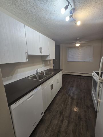 Modern 1 Bedroom Apartment Downtown Available Now - Photo 2