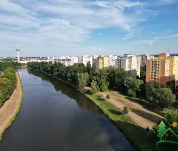 Pronájem bytu 3+1 se dvěma lodžiemi, Pardubice – Nábřeží Závodu míru - Fotografie 4