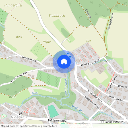 Buechenstrasse 4a, 8185, Winkel