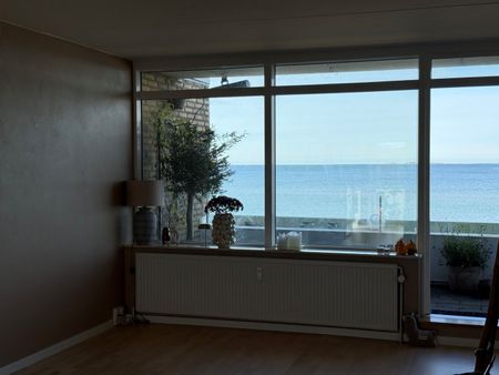 Storslået udsigt til Hirsholmen. - Photo 5