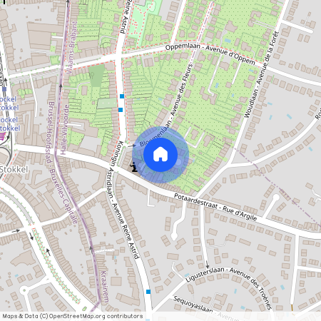 Clos des Fleurs, 4, 1950, Kraainem