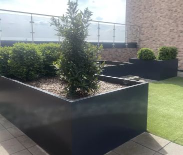 Platinum Ensuite - Photo 6