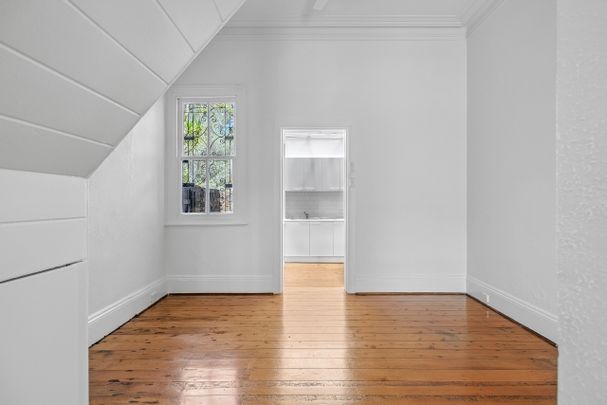 53 Albion Street, Paddington NSW 2021 - Terrace For Rent | Domain - Photo 1
