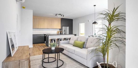 5 1/2 - Montréal (La Petite-Patrie) - 2 695 $/mois - Photo 2