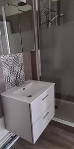 Location Appartement 1 pièce 30m² NANCY 54000 - Photo 3