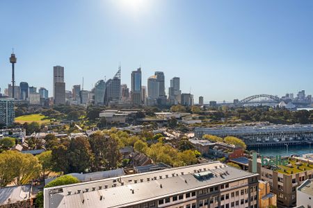 79/103 Victoria Street, Potts Point. - Photo 4