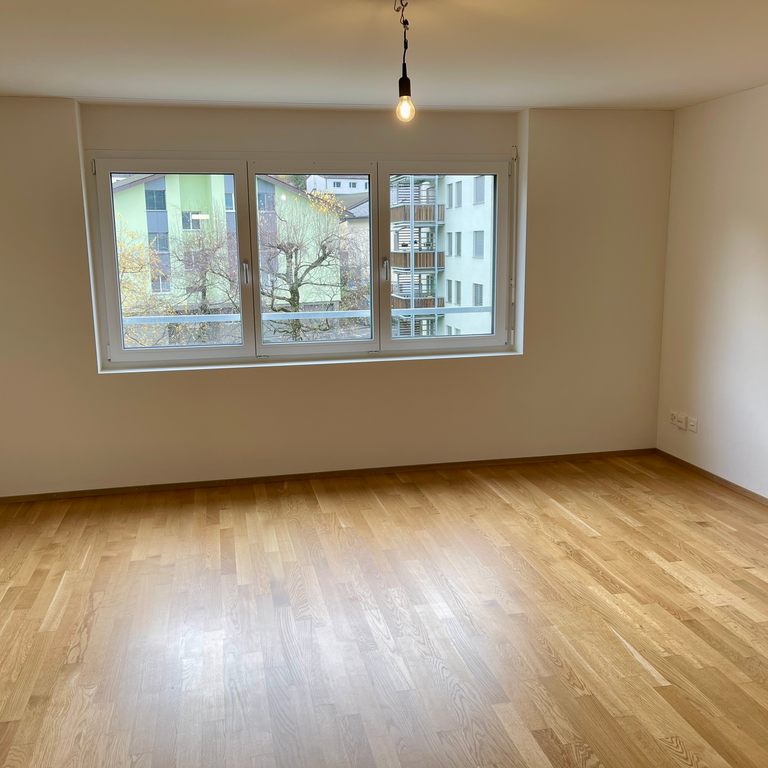 Gemütliche 1.5-Zimmerwohnung nähe Vierwaldstättersee - Foto 1