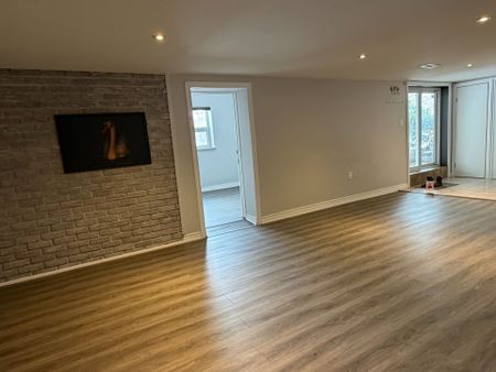 For Lease - 85 Franklin Street Unit# Lower, Newmarket, Ontario - Photo 4
