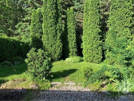 For Lease - 2606B CLEROUX Crescent, Blackburn Hamlet, Ontario - Photo 3