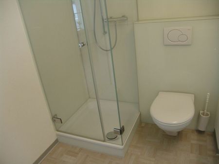 2.5 Zimmer, 54 m², 1. Stock - Photo 5