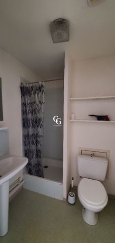 Location Appartement 1 pièce 18m² NANTES 44100 - Photo 5