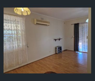 Garden Lovers Family Home! - Photo 3