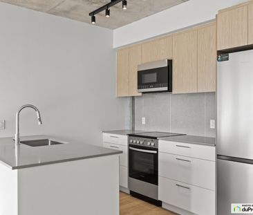 222-5630, rue de Marseille, Mercier / Hochelaga / Maisonneuve à louer - Photo 5
