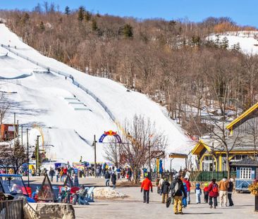 For Lease - 120 Fairway Court Unit# 215, Blue Mountains, Ontario - Photo 6