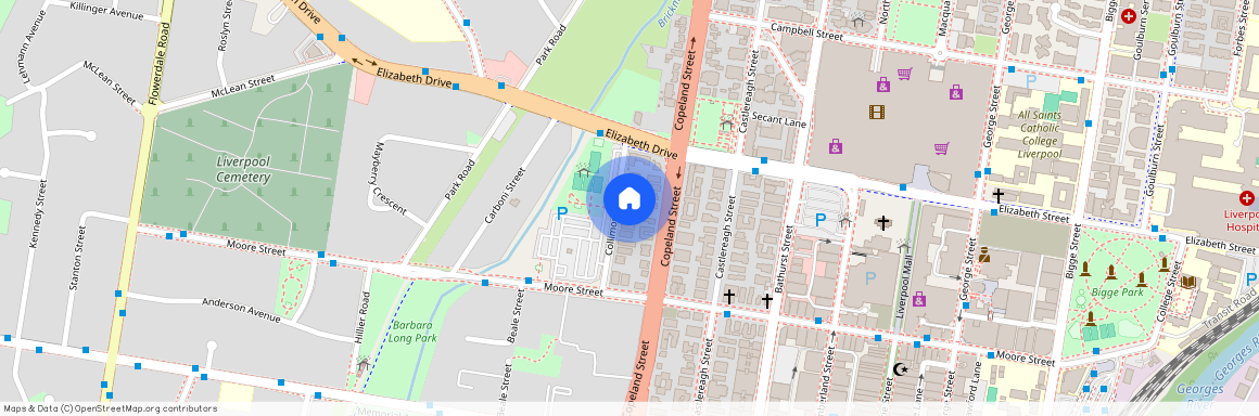 3/14 Collimore Avenue, Liverpool NSW 2170