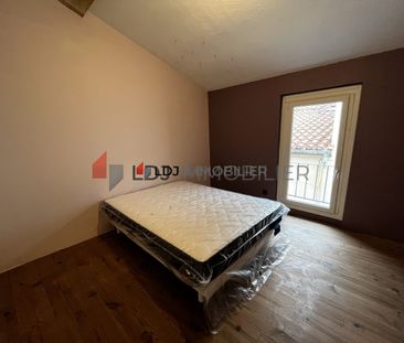 Location Appartement 3 pièces 69m² ST HIPPOLYTE 66510 - Photo 4