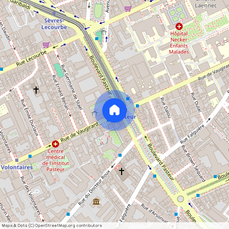 Rue de Vaugirard, Francja, Paris