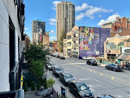 3456 Av. du Parc - Photo 4