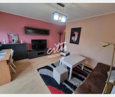 Szczecin - Zdjęcie 2