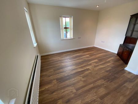 38 Magheralone Road, Ballynahinch, BT24 8ND - Photo 4