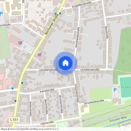 Leusbergstraße 21, 45663 Recklinghausen