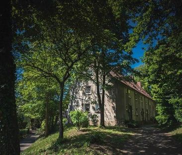 Neue Wohnung, neues Glück! Interessante 2-Zi.-Wohnung, frisch saniert - Photo 2