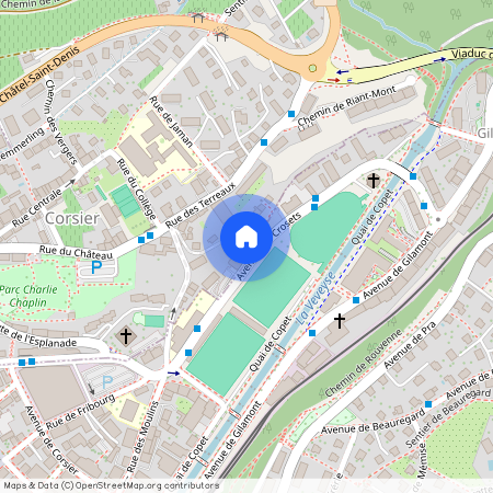 Avenue des Crosets 17, 1804 Corsier-sur-Vevey