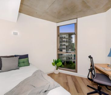 6 Bedroom Apartment - Photo 3