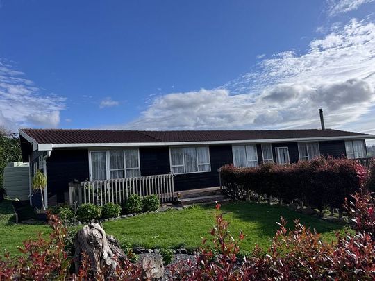 Charming 4BR lifestyle Home w/ Courtyard & Deck - Photo 1